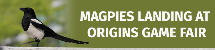 Magpies landing at Origins